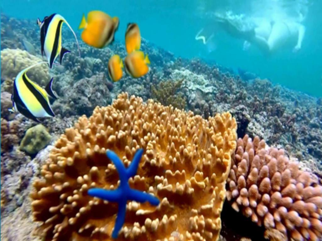 Tulamben Wreck Divers Resort & Restaurant Luaran gambar