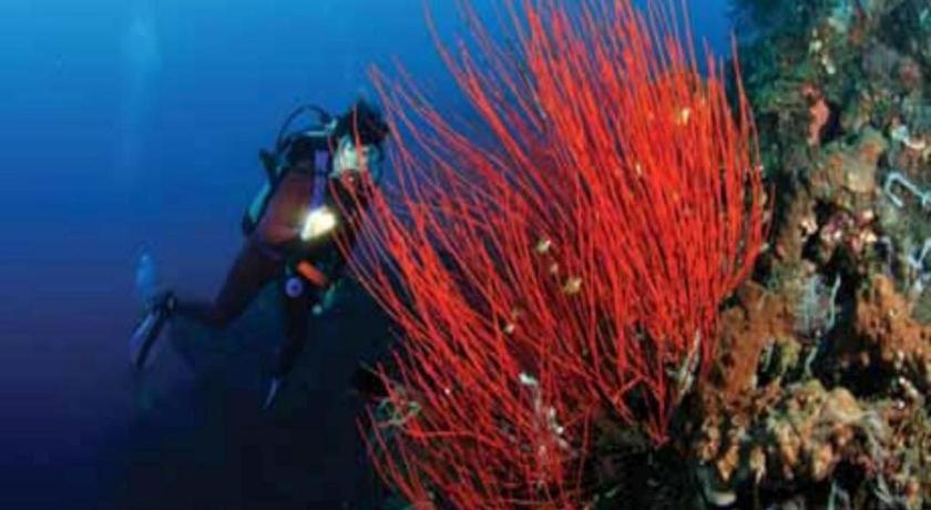 Tulamben Wreck Divers Resort & Restaurant Luaran gambar